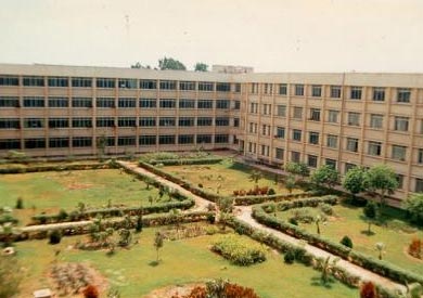 جامعة المنصورة